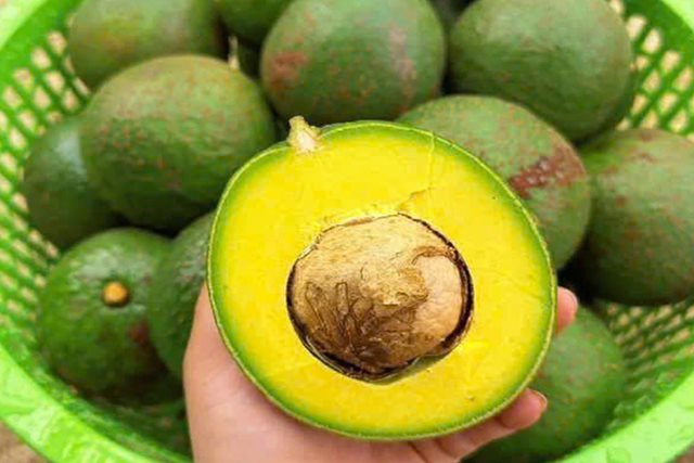 8 thực phẩm giúp chị em chăm sóc làn da mùa hanh khô